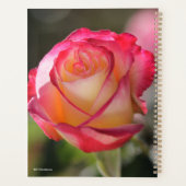 Roos met dubbele vertraging planner (Achterkant)