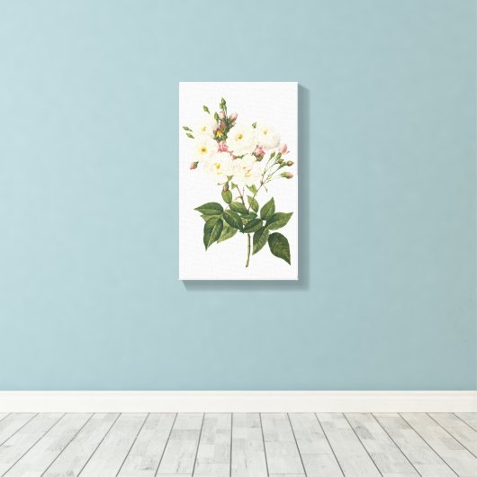 roos met een mondjesmaat (Rosa noisettiana) van Re Canvas Afdruk (Insitu (Houten vloer))