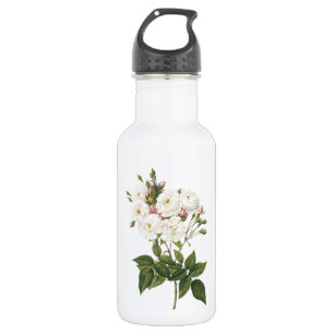 roos met een mondjesmaat (Rosa noisettiana) van Re Waterfles