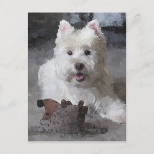 Roos met een nieuwe Speelgoed Briefkaart