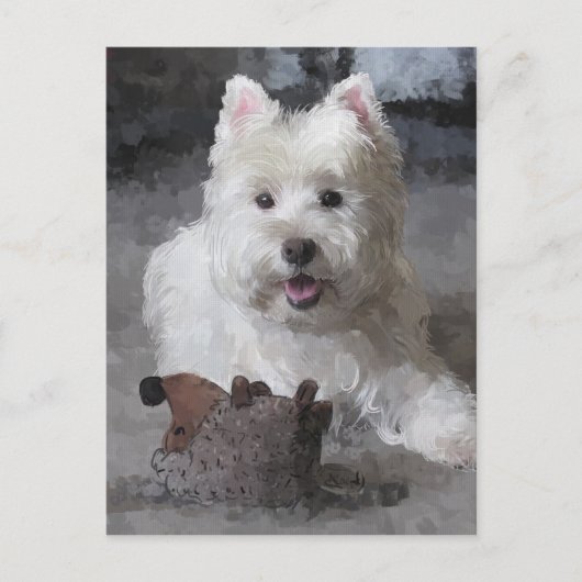 Roos met een nieuwe Speelgoed Briefkaart (Voorkant)