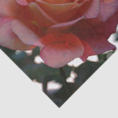 Roos met hartweefselpapier tissuepapier (Detail)