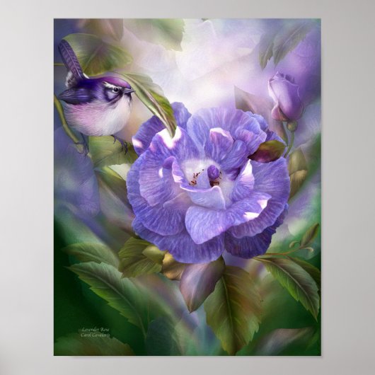 Roos met lavender - Poster voor fijne kunst/afdruk (Voorkant)