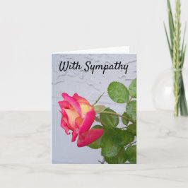 Roos met regendruppels op een sympathiekaart kaart