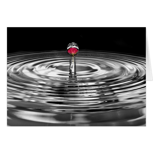 Roos met rimpeling (Voorkant Horizontaal)