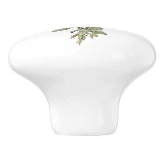 Roos met roze struikgewas keramische knop (Zijkant)