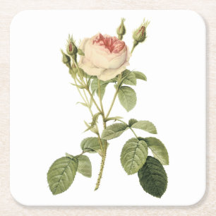 roos met twee maten door Redouté Kartonnen Onderzetters