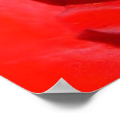 roos mf poster (Hoek)