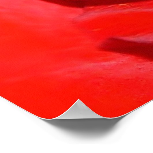 roos mf poster (Hoek)