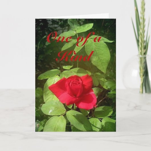 Roos Moederdag Kaart (Voorkant)