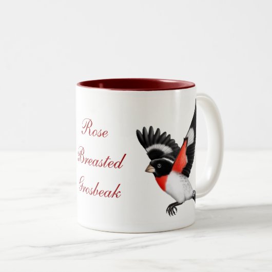  Roos Mok van gebalste wilde zeebaars (Voorkant rechts)