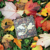 Roos Moon Abstract Rozen Moonchild Patroon Stenen Onderzetter