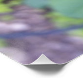 Roos na regen perfect poster (Hoek)