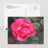 Roos najaar briefkaart (Voorkant / Achterkant)