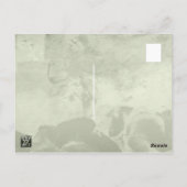 Roos nostalgie briefkaart (Achterkant)