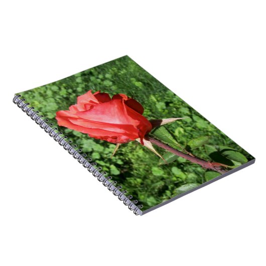 Roos notebook notitieboek (Rechterzijde)