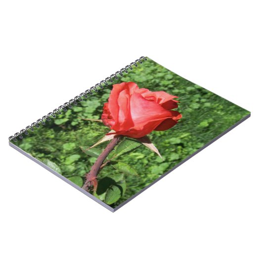 Roos notebook notitieboek (Linkerzijde)