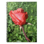 Roos notebook notitieboek (Voorkant)