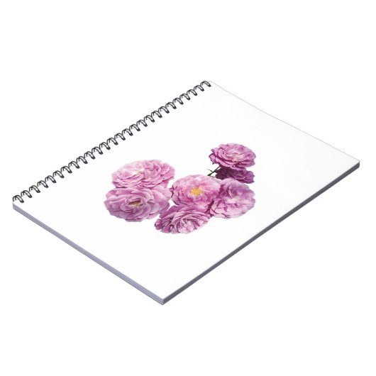 Roos Notitieboek (Linkerzijde)