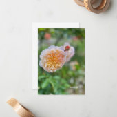   Roos Notitiekaartje (Voorkant / Achterkant in situ)