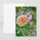   Roos Notitiekaartje (Voorkant / Achterkant)