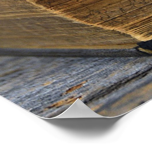 roos op oud boek poster (Hoek)