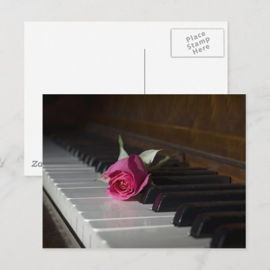 Roos op Piano Briefkaart (Voorkant / Achterkant)