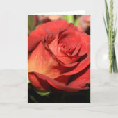 ROOS OPMERKING KAARTEN (Voorkant)