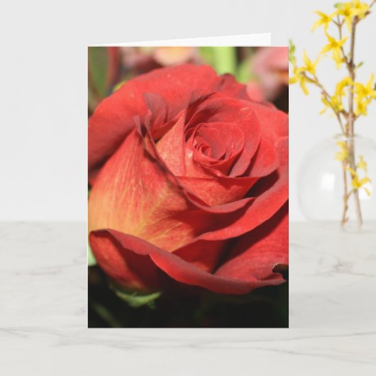 ROOS OPMERKING KAARTEN (Gele Bloem)