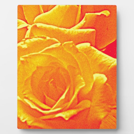 roos oranje fotoplaat (Voorkant)