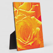 roos oranje fotoplaat (Zijkant)