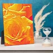 roos oranje fotoplaat (Zijkant)