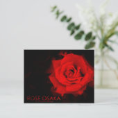 Roos Osaka:Briefkaart Briefkaart (Staand voorkant)