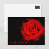 Roos Osaka:Briefkaart Briefkaart (Voorkant / Achterkant)