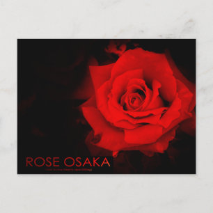 Roos Osaka:Briefkaart Briefkaart