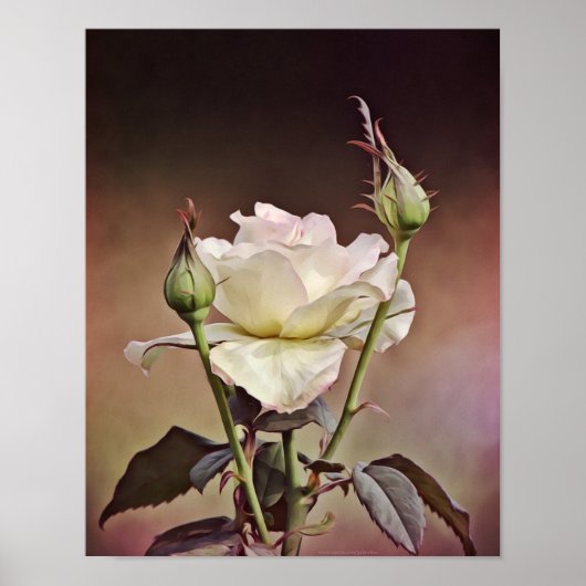 Roos oude wereld — Fotografische kunst afdrukken Poster (Voorkant)