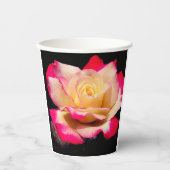 Roos Papieren Bekers (Voorkant)
