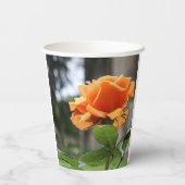 Roos Papieren Bekers (Achterkant)