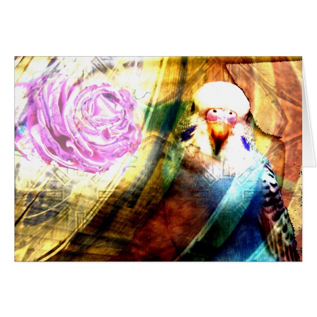 Roos parkiet collage - kaart (Voorkant Horizontaal)