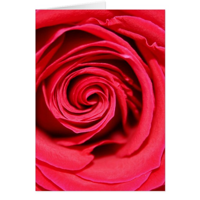 Roos passie (Voorkant)