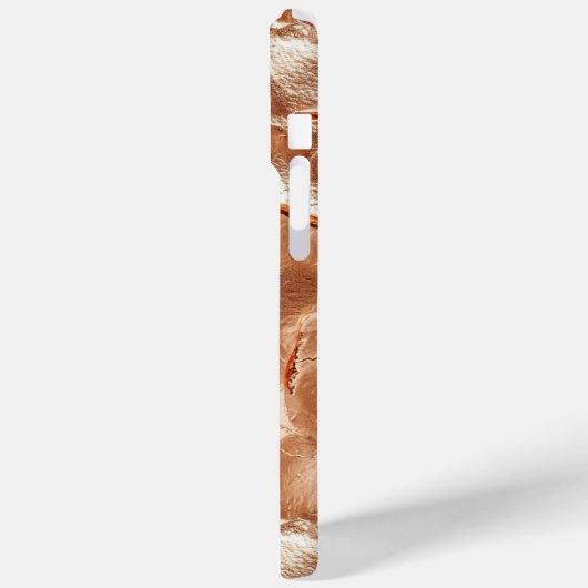 Roos Peach Gold Glam Case-Mate iPhone Case (Achterkant / Links)