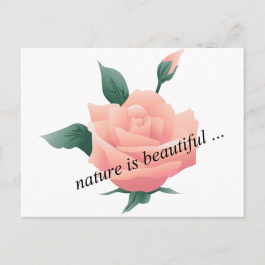 Roos (Perzik) - Prachtige natuur Briefkaart (Voorkant)