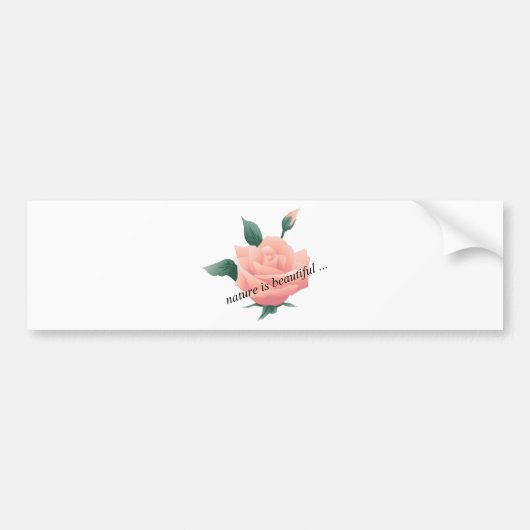Roos (Perzik) - Prachtige natuur Bumpersticker (Voorkant)