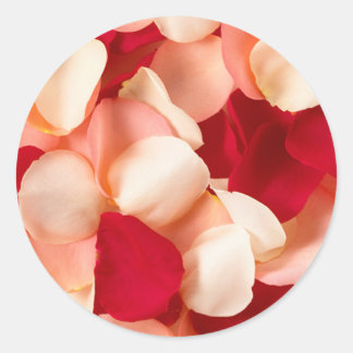 Roos Petaal Stickers