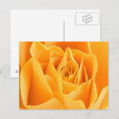 Roos Petal Briefkaart (Voorkant / Achterkant)