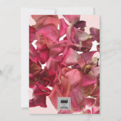 Roos Petal roc Romantic Weddenschap (Achterkant)