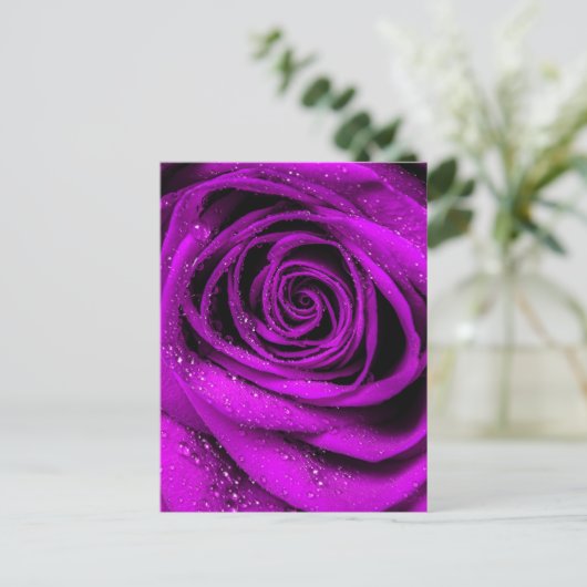 Roos Petals 2 Briefkaart (Staand voorkant)