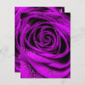 Roos Petals 2 Briefkaart (Voorkant / Achterkant)