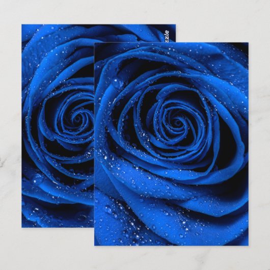 Roos Petals 3 Briefkaart (Voorkant / Achterkant)