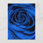 Roos Petals 3 Briefkaart (Voorkant)